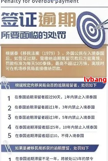 越南签证逾期罚款会留下记录吗？如何查询及解决方法大揭秘！