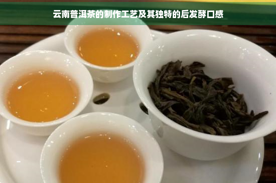 新 云南特色普洱茶叶一芽一叶的独特风味及其制作工艺