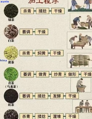 绿茶制作全过程解析：从一芽一叶到成品，了解绿茶的诞生之谜