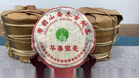 口粮普洱茶推荐：哪种牌子好，哪款适合日常饮用？