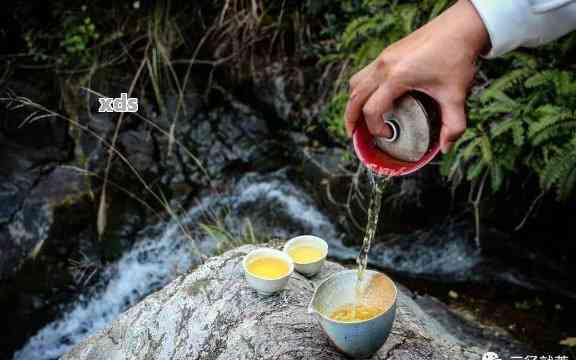 选择何种水质更适合泡普洱茶？详解优质水的重要性及常见水源对比