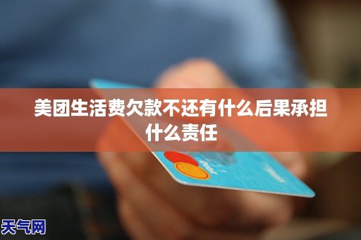 美团生活费逾期2天可能带来的后果及解决方法，确保您的信用不受影响