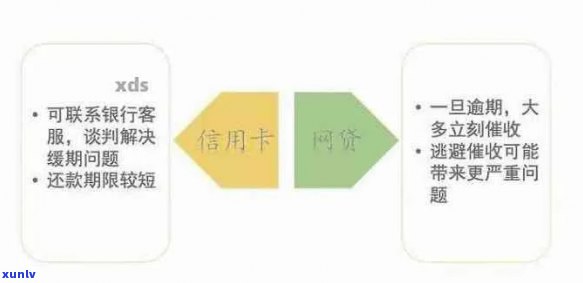 网商逾期后每天扣钱的解决策略：了解所有选项，并制定行动计划