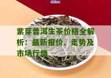 同庆堂普洱茶紫芽价格表大全：详细解析各类产品及价格，助您轻松选购