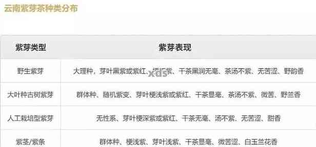 同庆堂普洱茶紫芽价格表大全：详细解析各类产品及价格，助您轻松选购