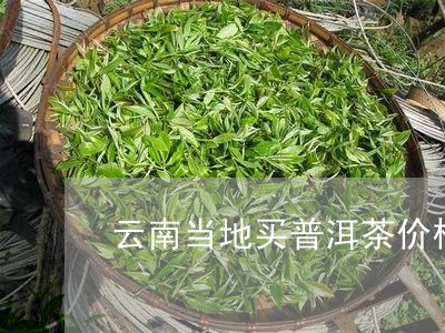 云南地灵树普洱茶价格表