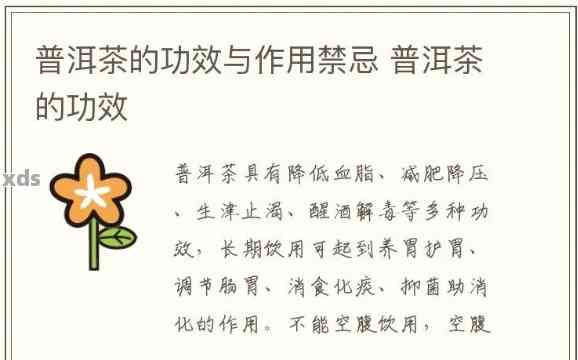 普洱茶贴纸：使用方法、功效与注意事项，一文全面解析！