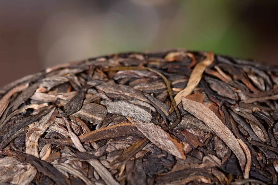 普洱茶的清凉感来源：古树茶与其他品种的区别与特点解析