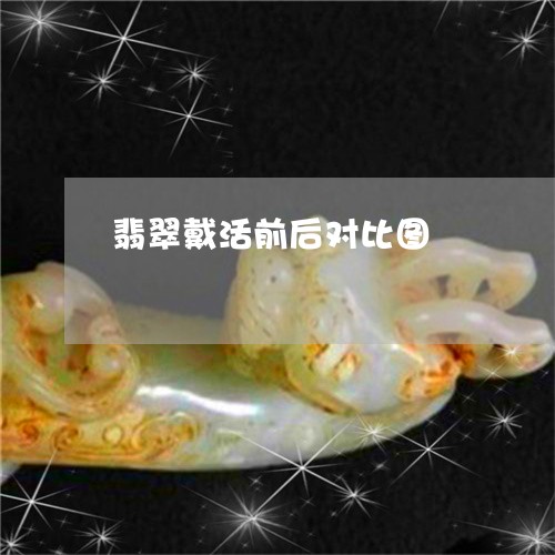 翡翠手镯什么种更好，以上不变种，好看又不变形。