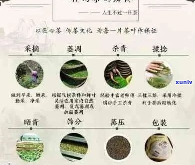 景迈世家茶叶：品质茶叶的源头，一站式茶叶购买解决方案