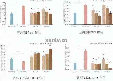 普洱茶对血糖的影响：科学研究表明的好处与挑战