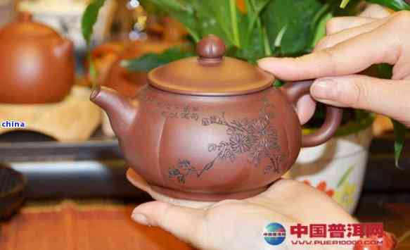 石红泥料紫砂壶泡茶：哪种茶最合适？