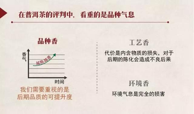 探究普洱茶嫩度与香气间的关系：揭示其中的奥秘