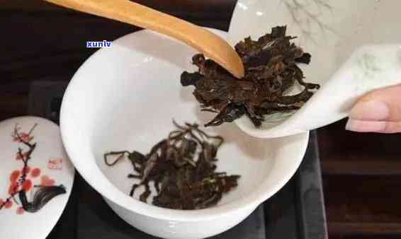 全面解析：如何正确泡制大叶熟散普洱茶，解决用户可能遇到的所有问题