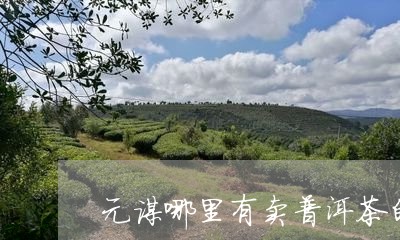 昔元普洱茶怎么样好喝吗