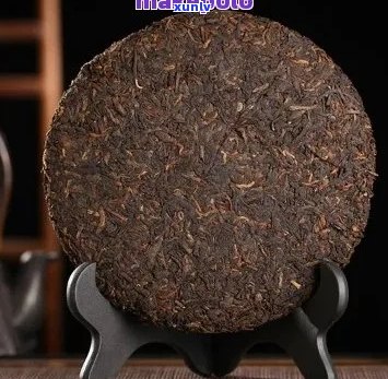 普洱茶样品50克多少钱一斤？