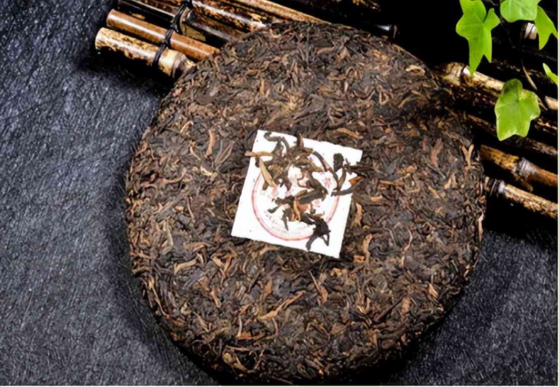 普洱茶样品50克多少钱