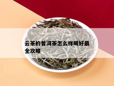 云普洱茶哪款喝的