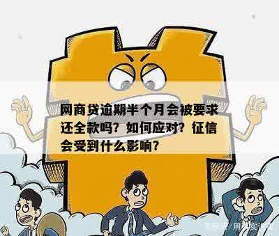 网贷逾期一个月，信贷公司要求全额还款应该如何应对？