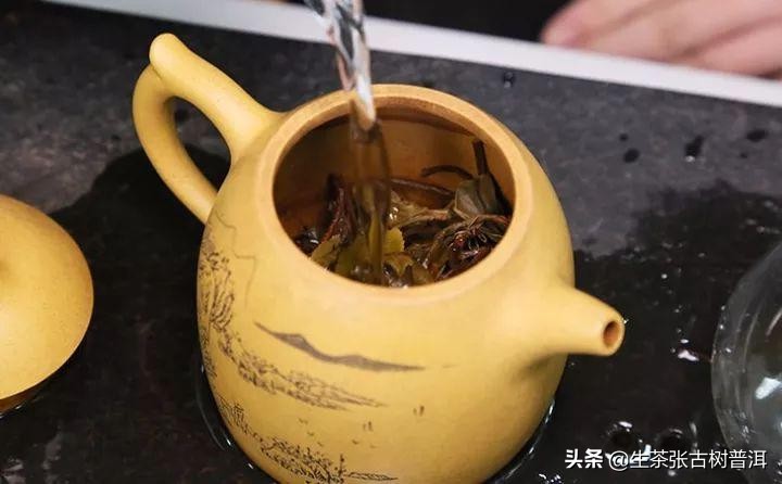 普洱茶密封袋存：防潮保还是引发霉菌生长？