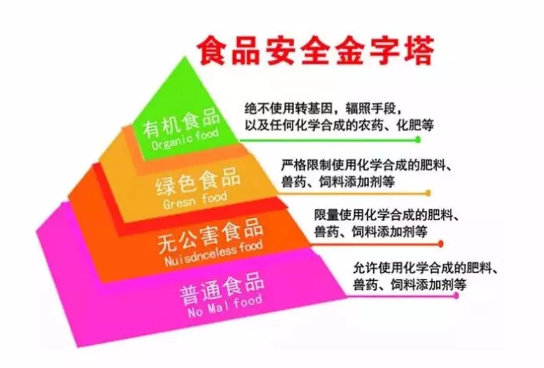 大益益元素最新价格：了解市场行情、产品特点与购买指南的全方位指南