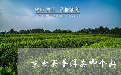 京东哪家普洱茶好：精选京东普洱茶，口感醇厚，品质上乘。