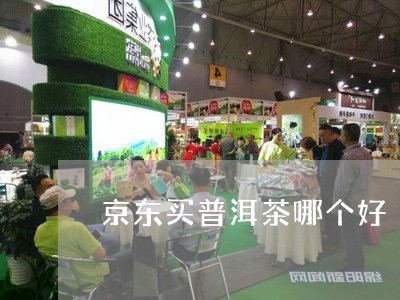 京东普洱茶哪个牌子好？怎么挑选优质普洱茶？