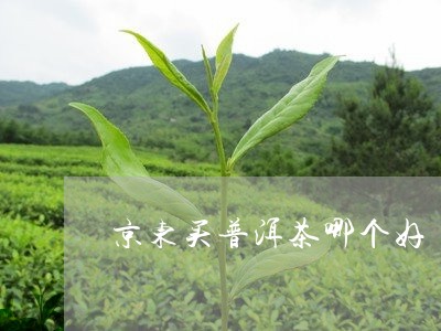 京东哪一款普洱茶好卖点