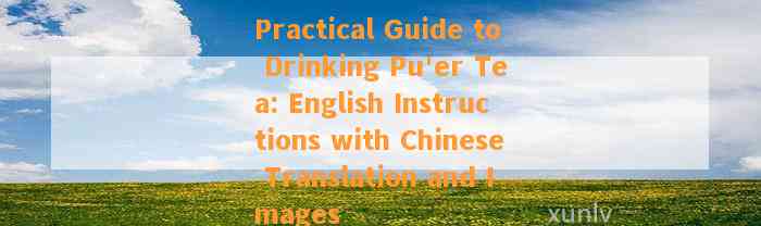 Is Your Pu'er Tea Aging to Be More Fragrant? English Translation