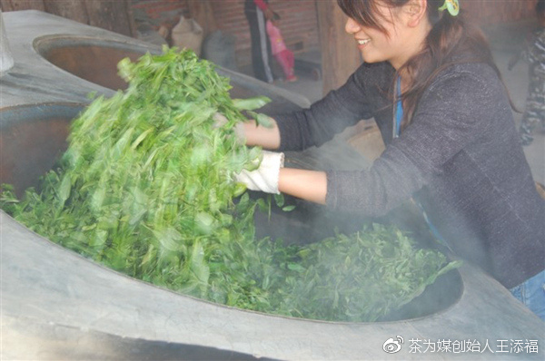 普洱茶越陈越好的科学依据：茶叶陈化过程与品质提升机制详解