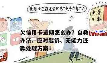 逾期半个月后强制全额还款：理解、应对与策略