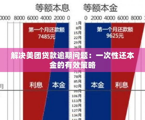 美团借钱13万：每月还款详细计算及分析，助您了解还款计划与成本