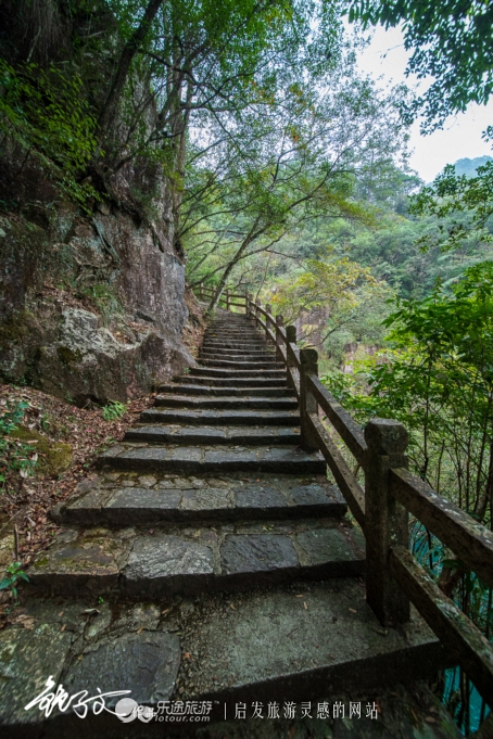 龙潭古树普洱茶价格表最新一览表