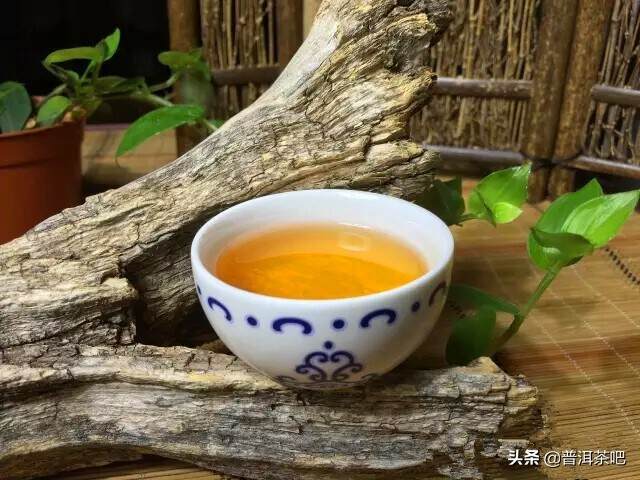 小喜欢喝普洱茶？真相揭秘！