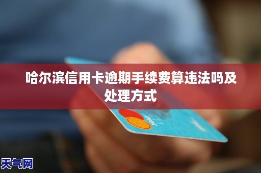 哈尔滨信用卡的逾期什么时候更新