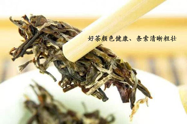 普洱茶梗如何区分生熟茶？