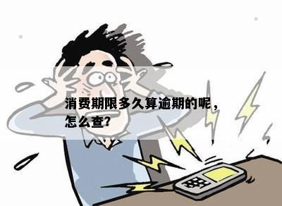 如何确定消费分期欠款逾期的具     置和时间？