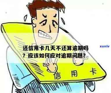 信用卡逾期还款期限：单卡最长不超过多久？