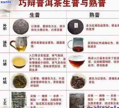 新普洱茶的功效、冲泡方法与适宜饮用次数详解，女性是否可以喝？