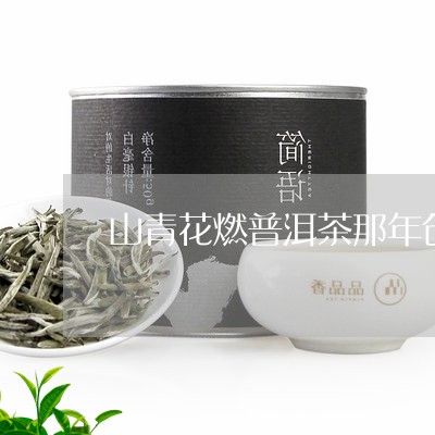 山青花燃普洱茶价格大全：品鉴与投资指南