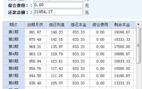 度小满贷款2万12期：详细利息解析与计算