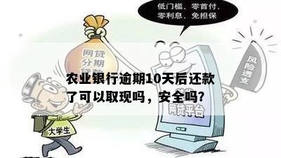 农宜贷逾期十天了还进去还能贷出来吗？安全吗？