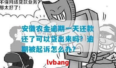 农宜贷逾期十天了还进去还能贷出来吗？安全吗？