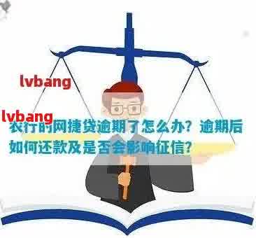 农宜贷逾期十天了还进去还能贷出来吗？安全吗？