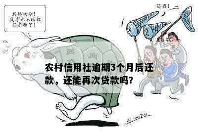 逾期十天的农宜贷还款后，能否再次贷款？安全性如何保障？