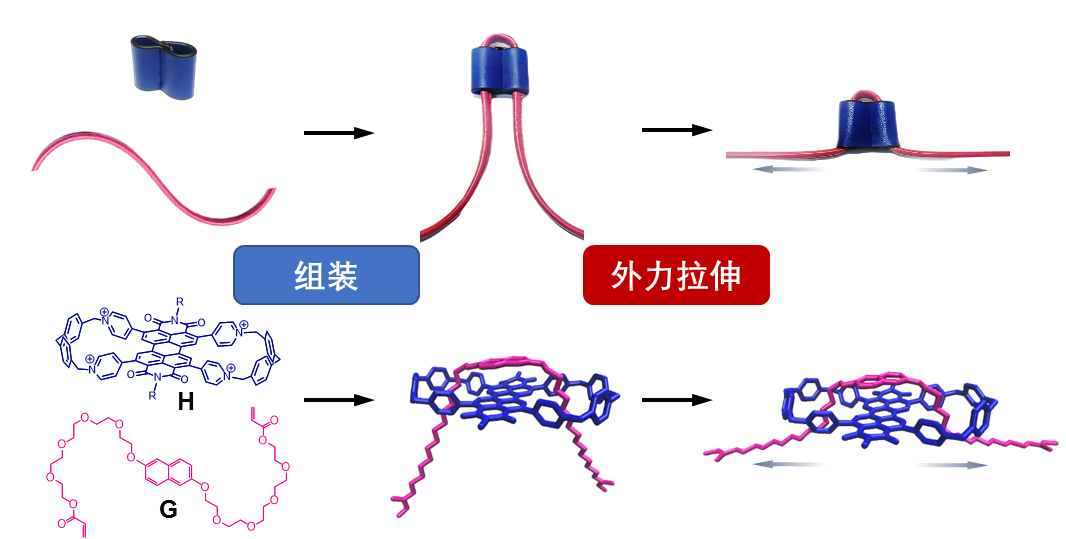 玉石在高压电场下的微观结构与性能变化：一种新的研究视角