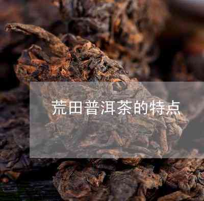 八十年代古树普洱茶：福寿喜的传奇之选