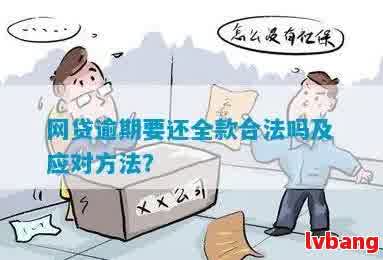 网贷提前还款是否允及其对违约金的影响：网贷可以提前还款吗？