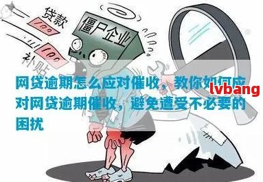 如何解决网贷逾期记录问题：修复、查询与预防策略全面解析