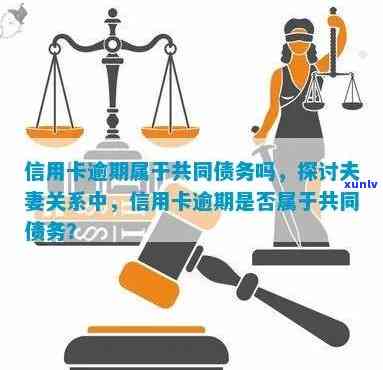 信用卡还款：个人责任还是夫妻共享？结婚后是否会向另一半索要债务？